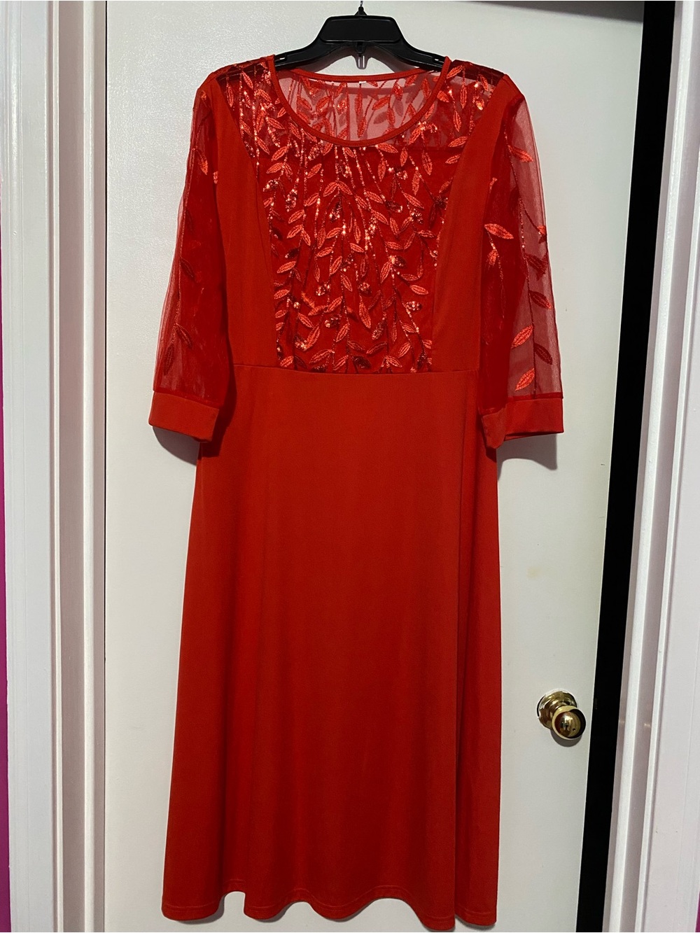 Elegant Red Mesh & Embroidered Dress